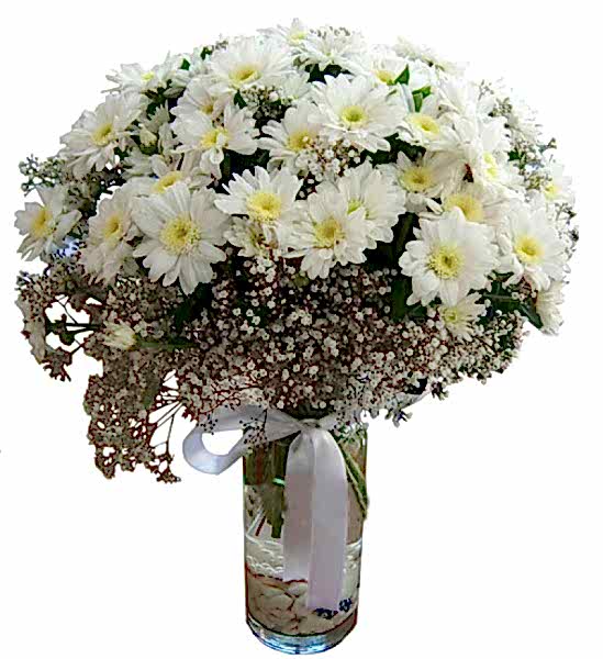 ENFES BİR UYUM