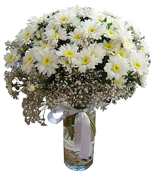 ENFES BİR UYUM