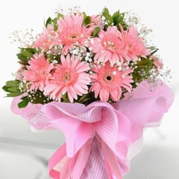 PEMBE SEVDA AŞKIMA